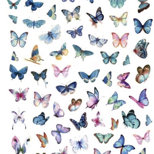 Butterfly decal - Hey Beautiful Nail Supplies