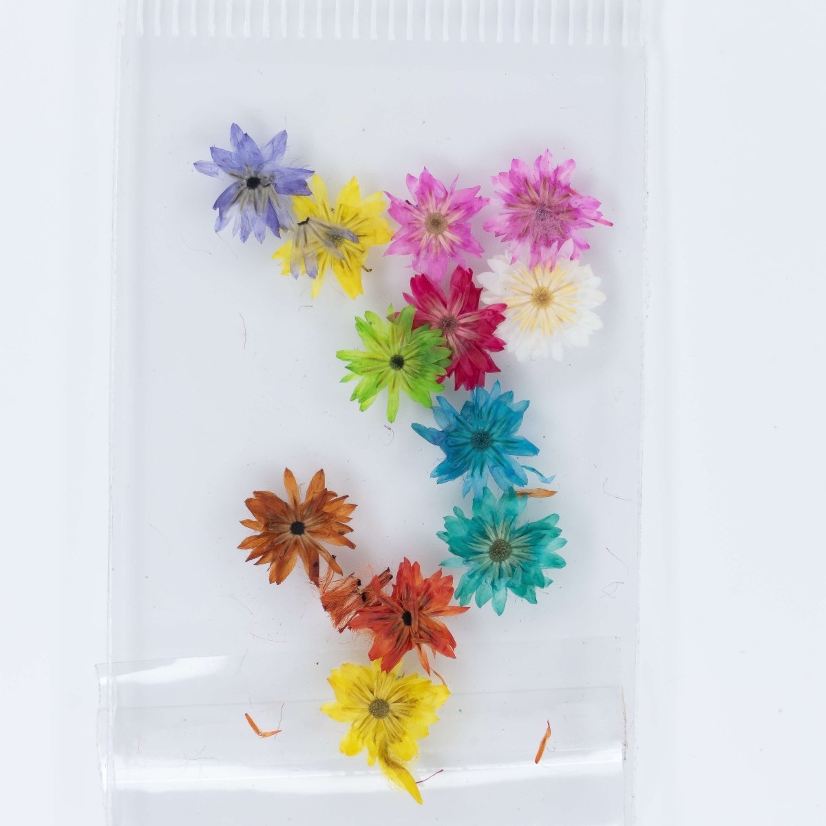 Dry Flowers (33) - Hey Beautiful Nail Supplies