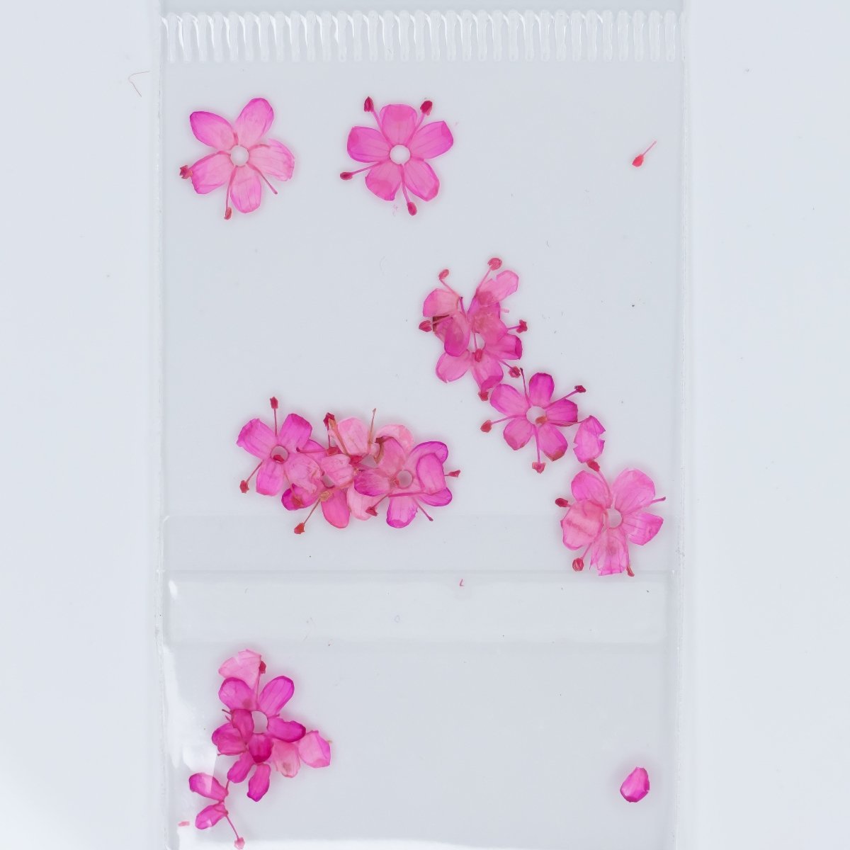 Dry Flowers (49) - Hey Beautiful Nail Supplies