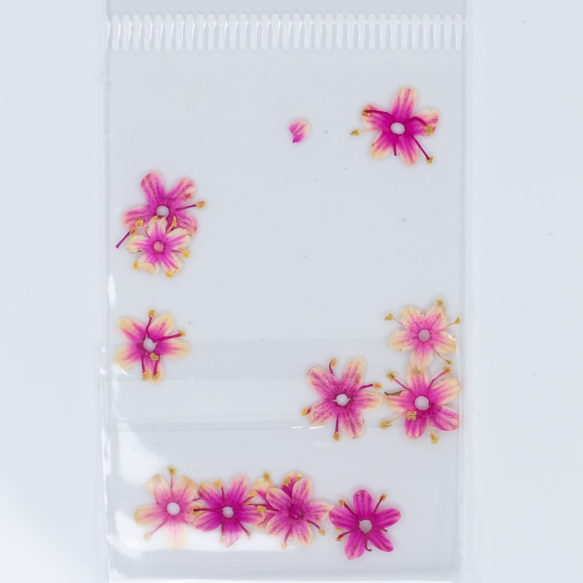 Dry Flowers (58) - Hey Beautiful Nail Supplies