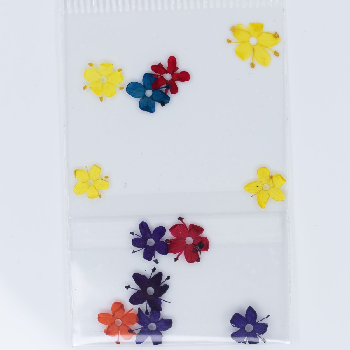 Dry Flowers (64) - Hey Beautiful Nail Supplies