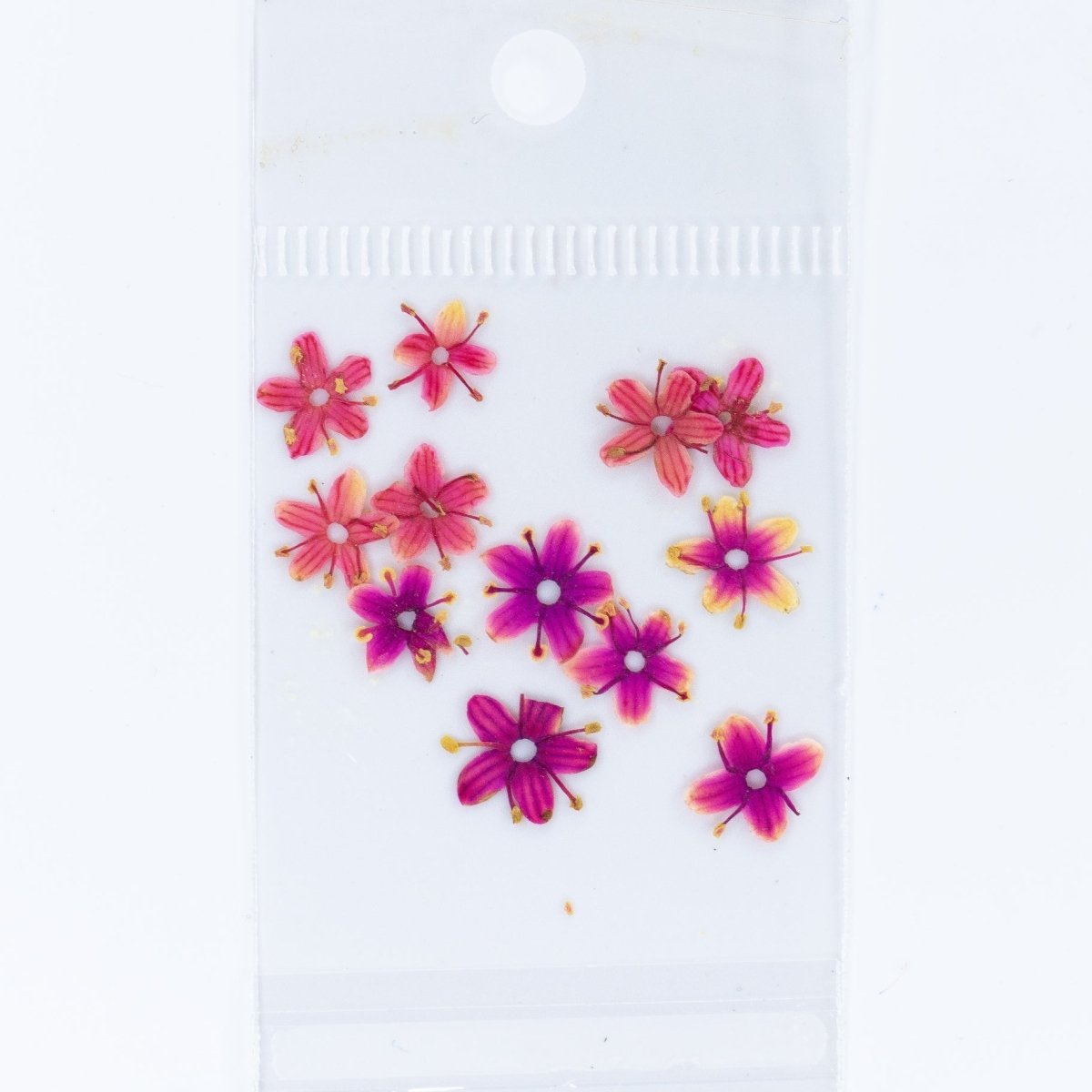 Dry Flowers (66) - Hey Beautiful Nail Supplies