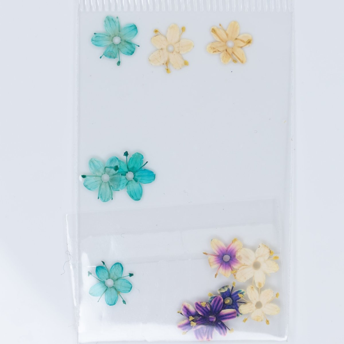 Dry Flowers (70) - Hey Beautiful Nail Supplies