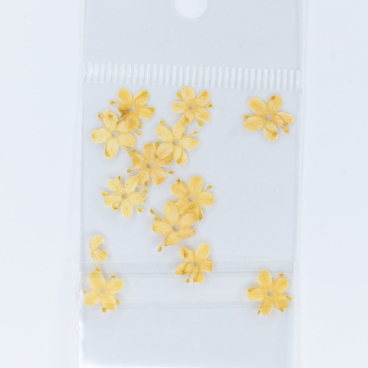 Dry Flowers (73) - Hey Beautiful Nail Supplies