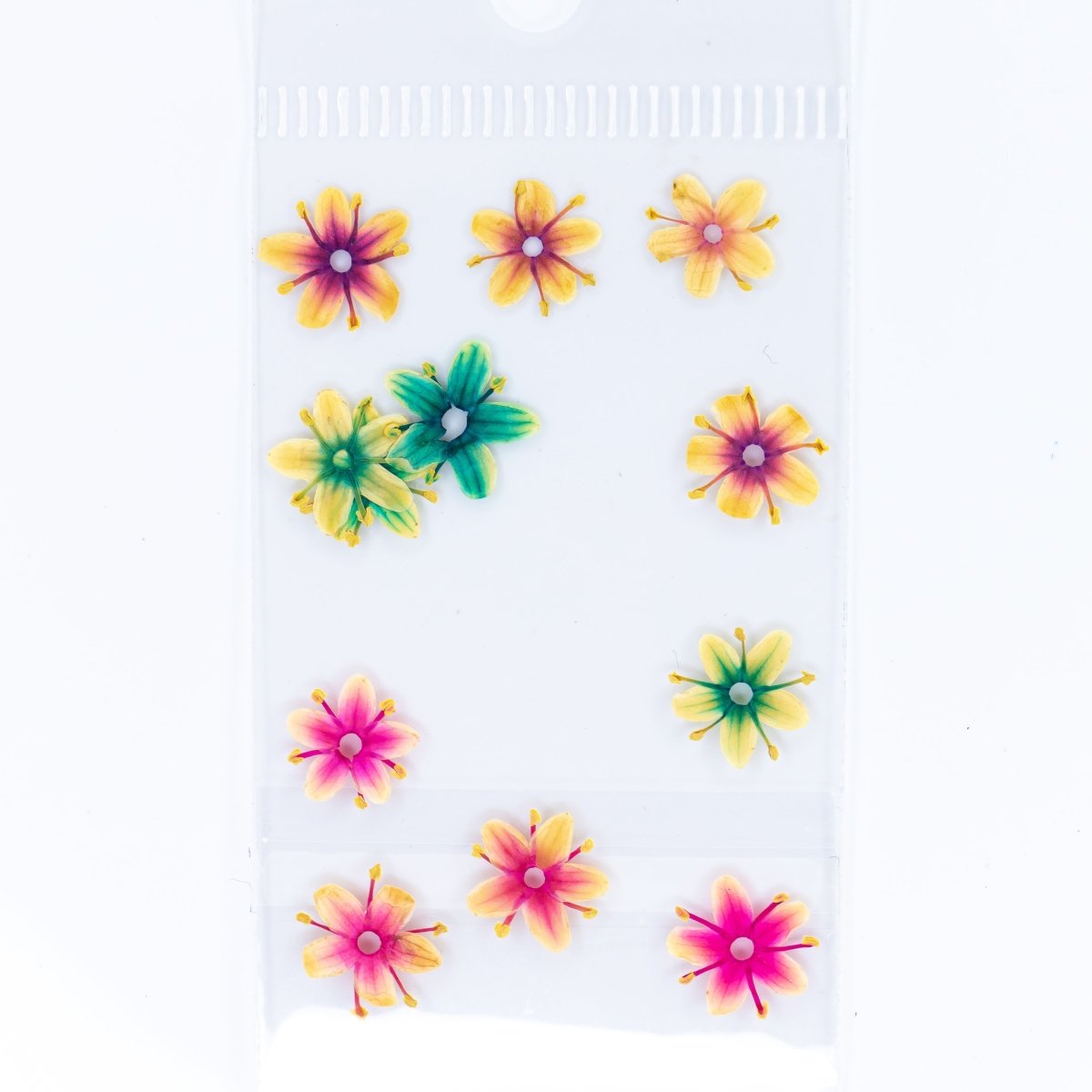 Dry Flowers (74) - Hey Beautiful Nail Supplies