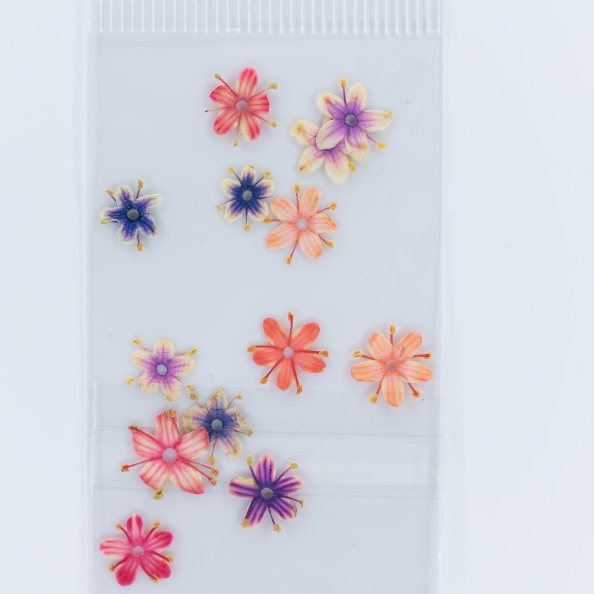 Dry Flowers (82) - Hey Beautiful Nail Supplies