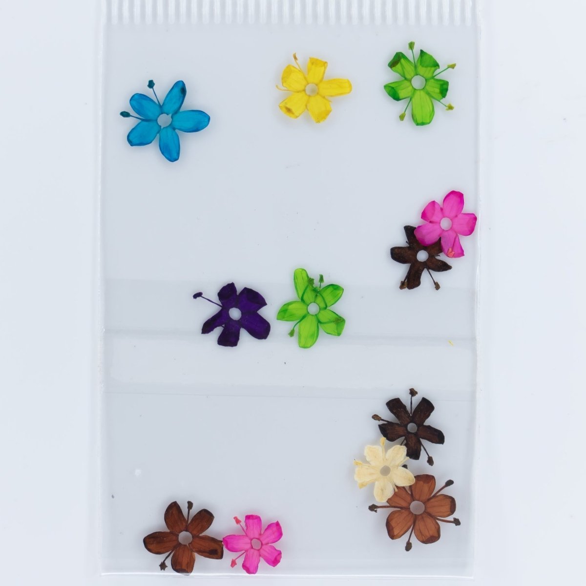 Dry Flowers (86) - Hey Beautiful Nail Supplies