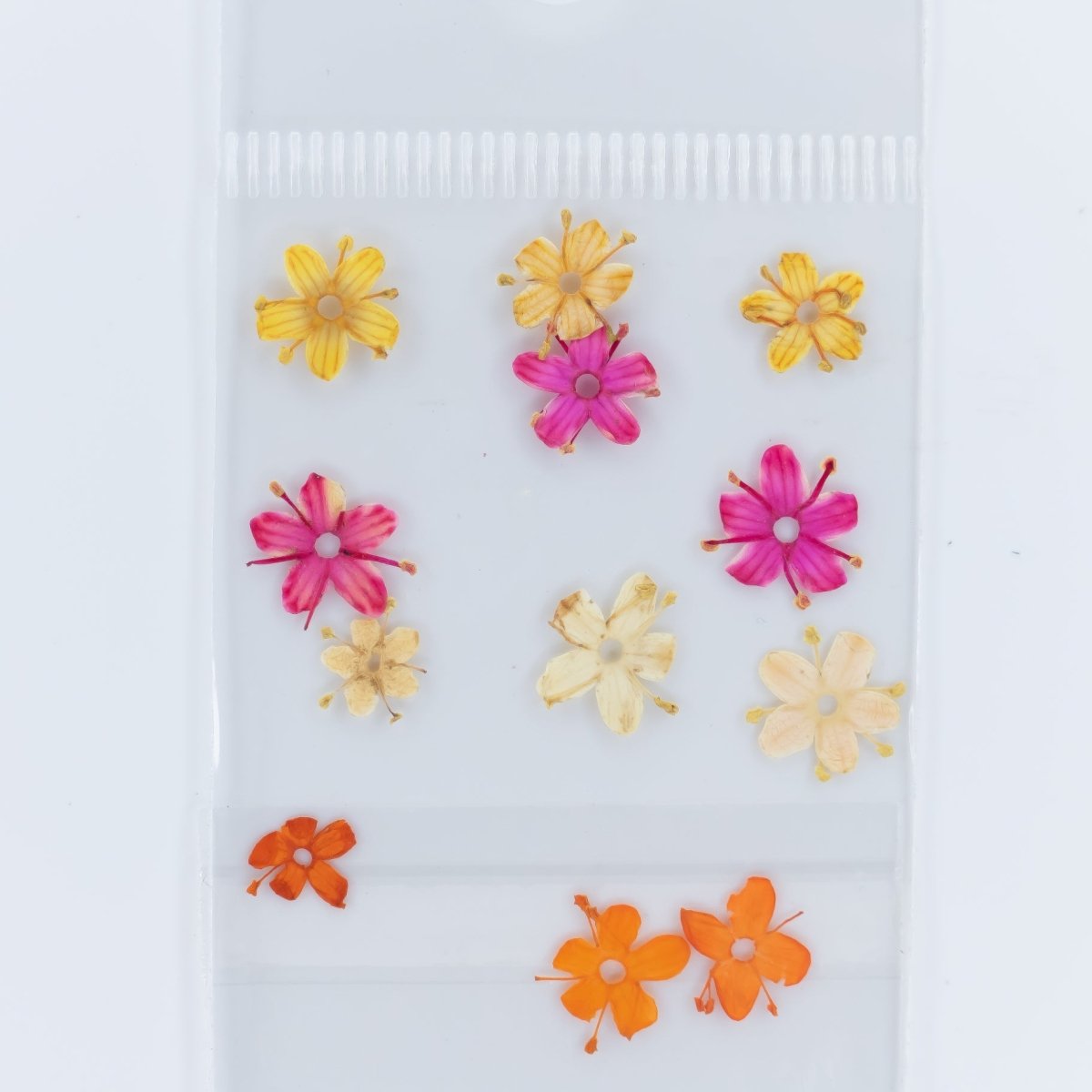 Dry Flowers (91) - Hey Beautiful Nail Supplies