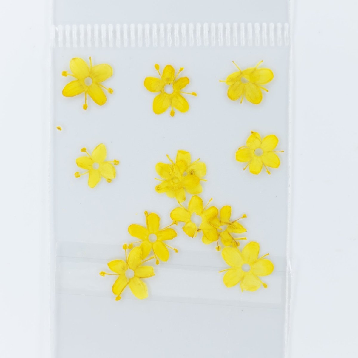 Dry Flowers (93) - Hey Beautiful Nail Supplies