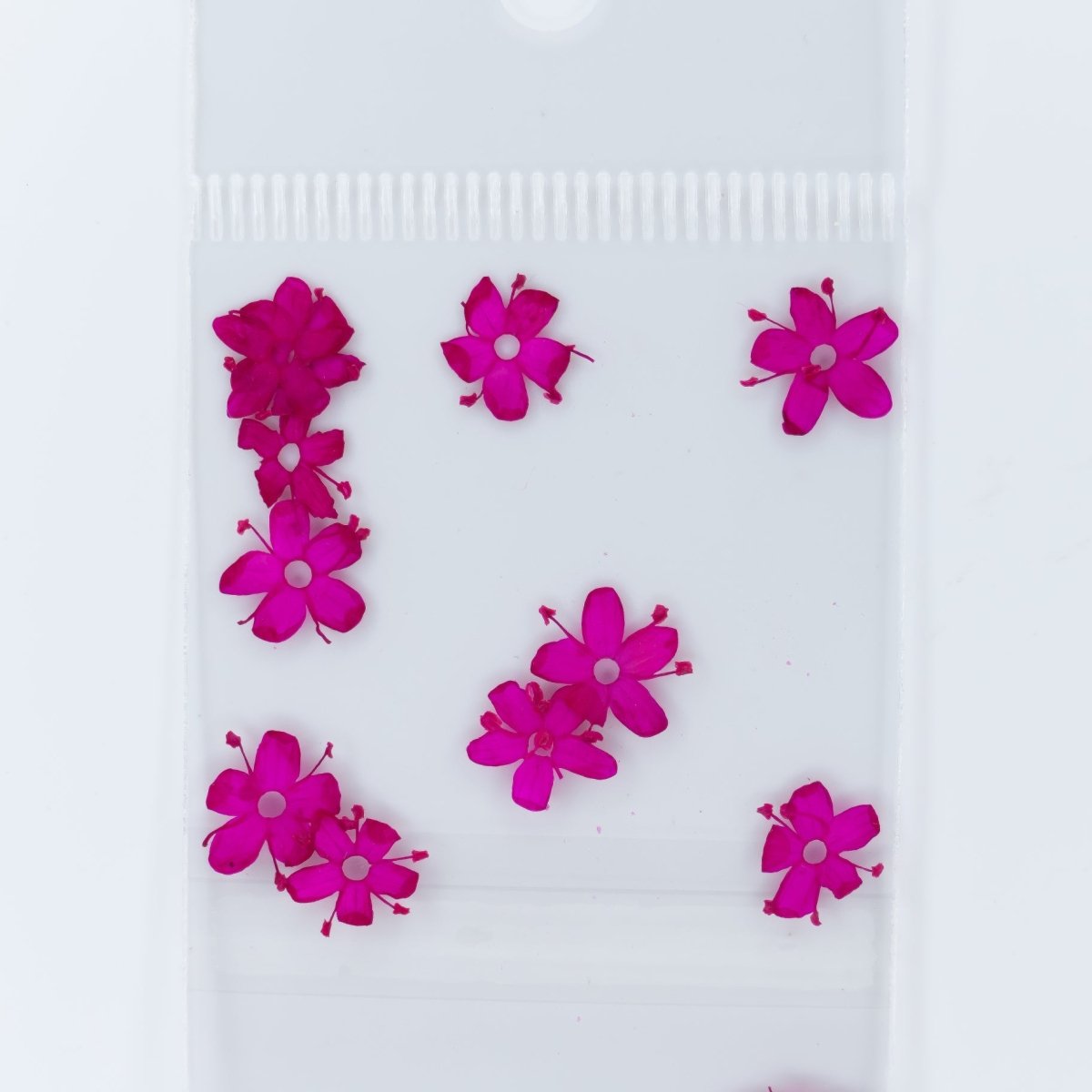 Dry Flowers (97) - Hey Beautiful Nail Supplies