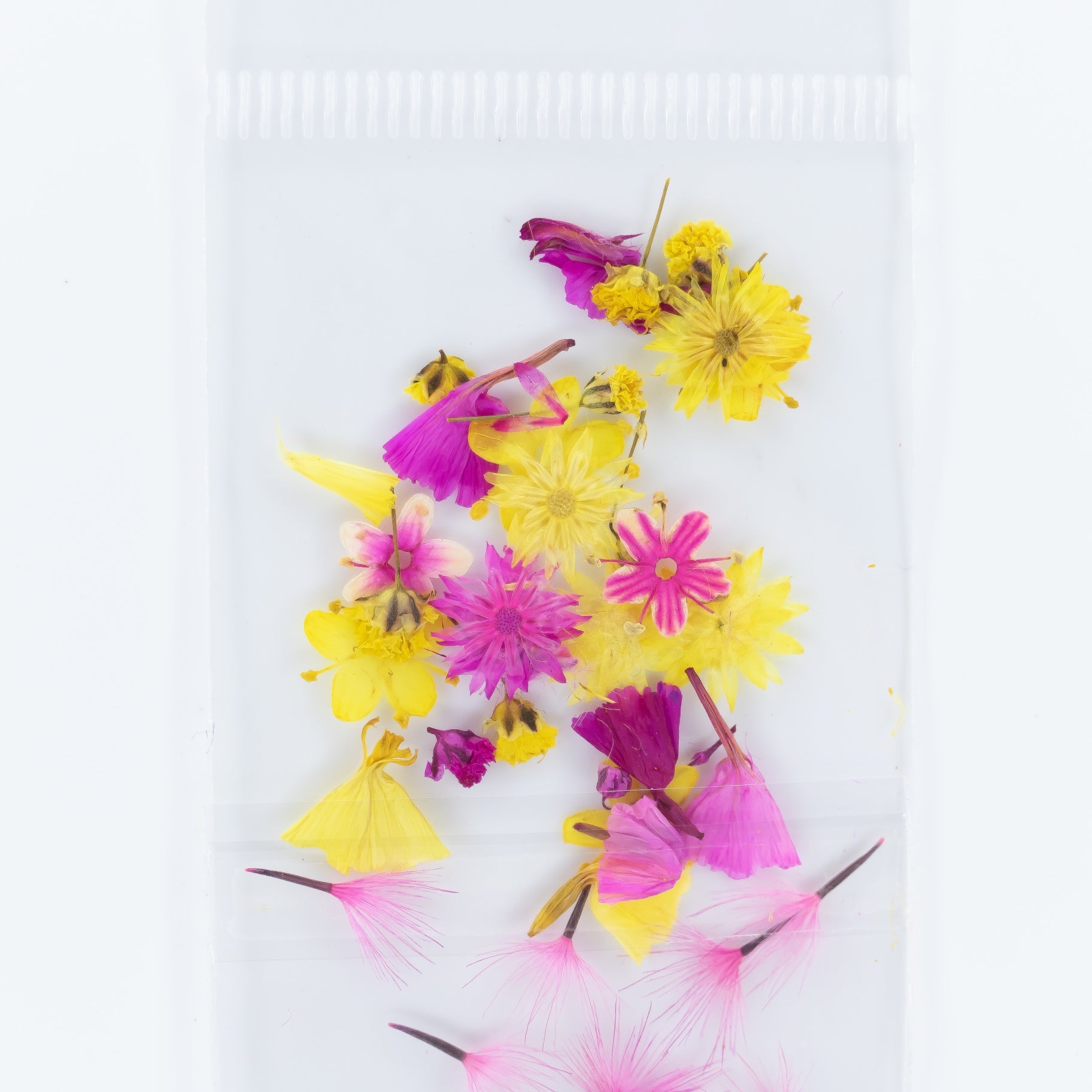 Dry Flowers (30)
