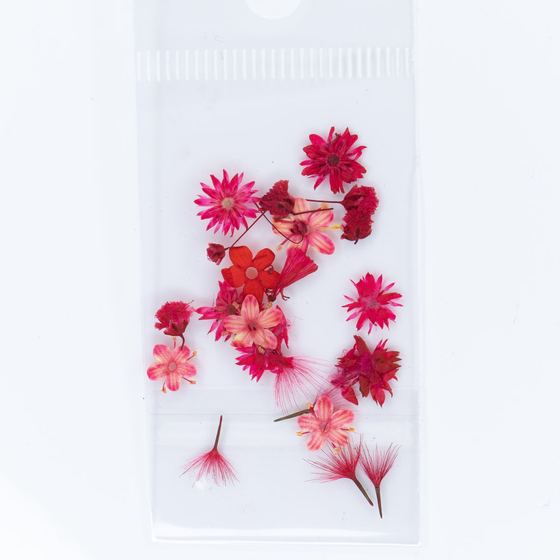 Dry Flowers (6)
